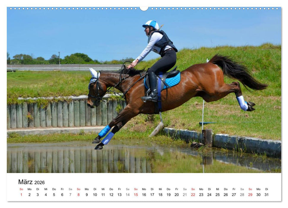 Vielseitigkeitsreiten (CALVENDO Wandkalender 2026)