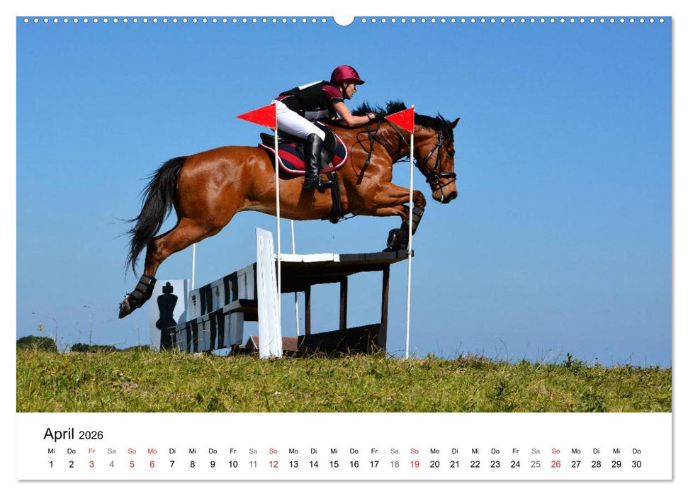 Vielseitigkeitsreiten (CALVENDO Wandkalender 2026)