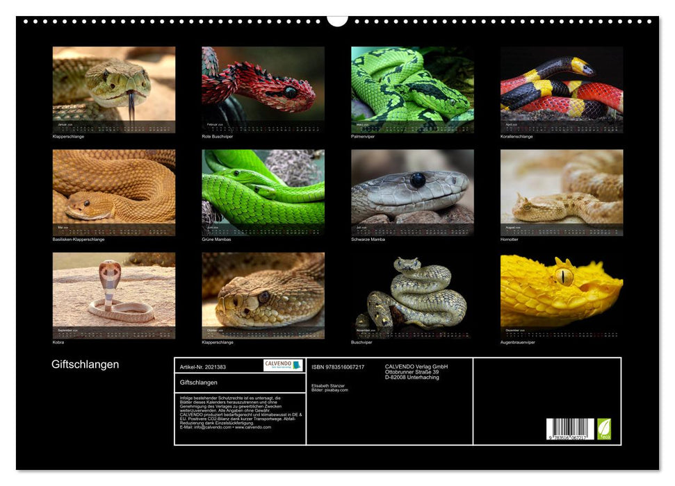 Giftschlangen (CALVENDO Wandkalender 2026)
