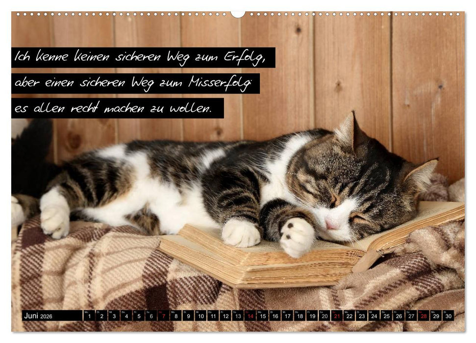 Der "philosophische" Katzenkalender 2026 (CALVENDO Premium Wandkalender 2026)