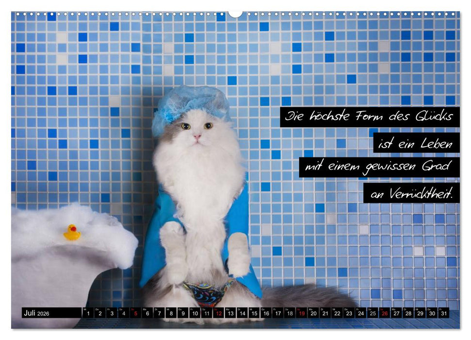 Der "philosophische" Katzenkalender 2026 (CALVENDO Premium Wandkalender 2026)