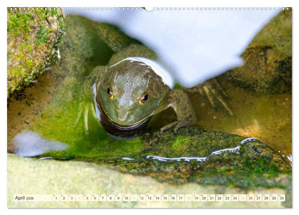 Unterwegs in Malaysia (CALVENDO Wandkalender 2026)