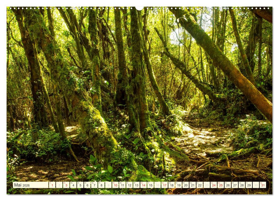 Unterwegs in Malaysia (CALVENDO Wandkalender 2026)