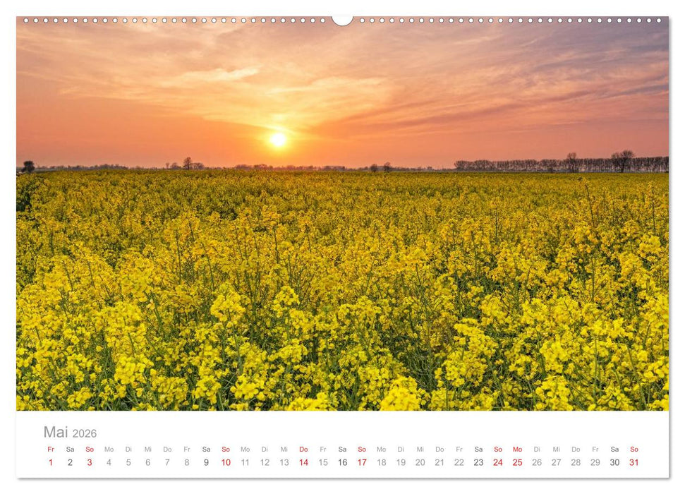 Lichtreise durch Schleswig-Holstein (CALVENDO Premium Wandkalender 2026)