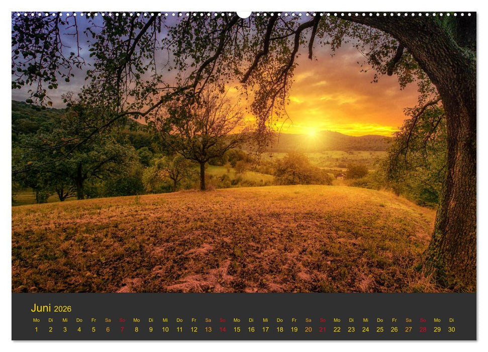 Morgendämmerung (CALVENDO Premium Wandkalender 2026)