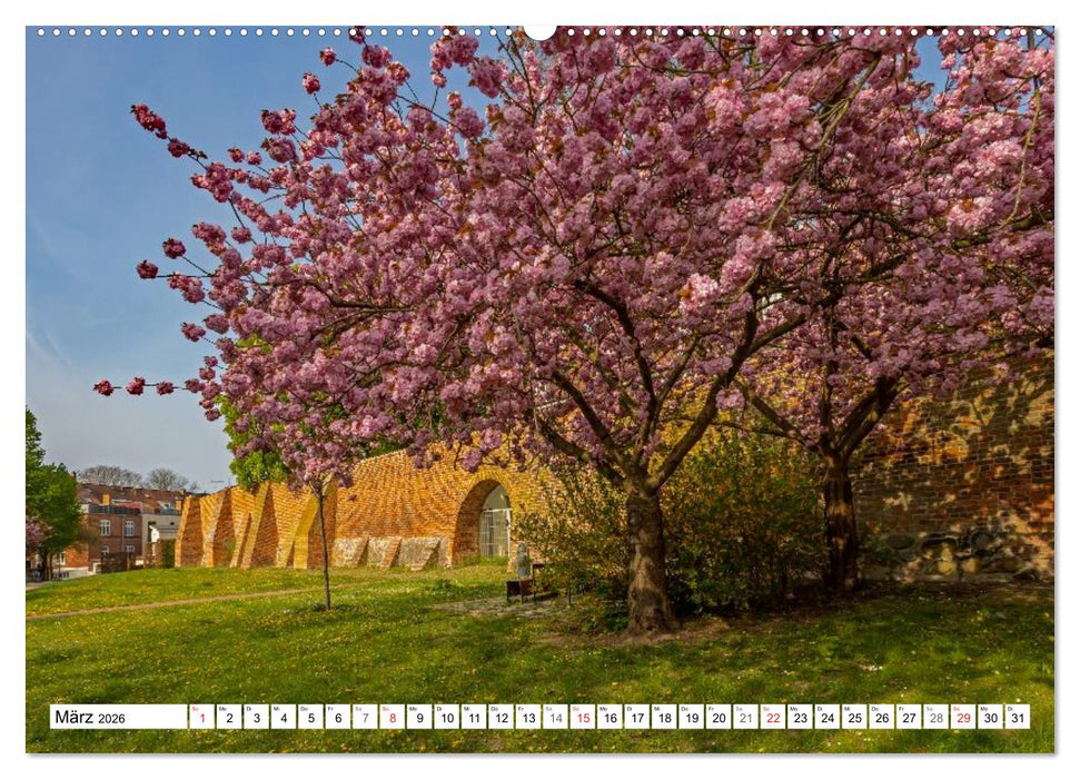 Wismarer Ansichten 2026 (CALVENDO Wandkalender 2026)