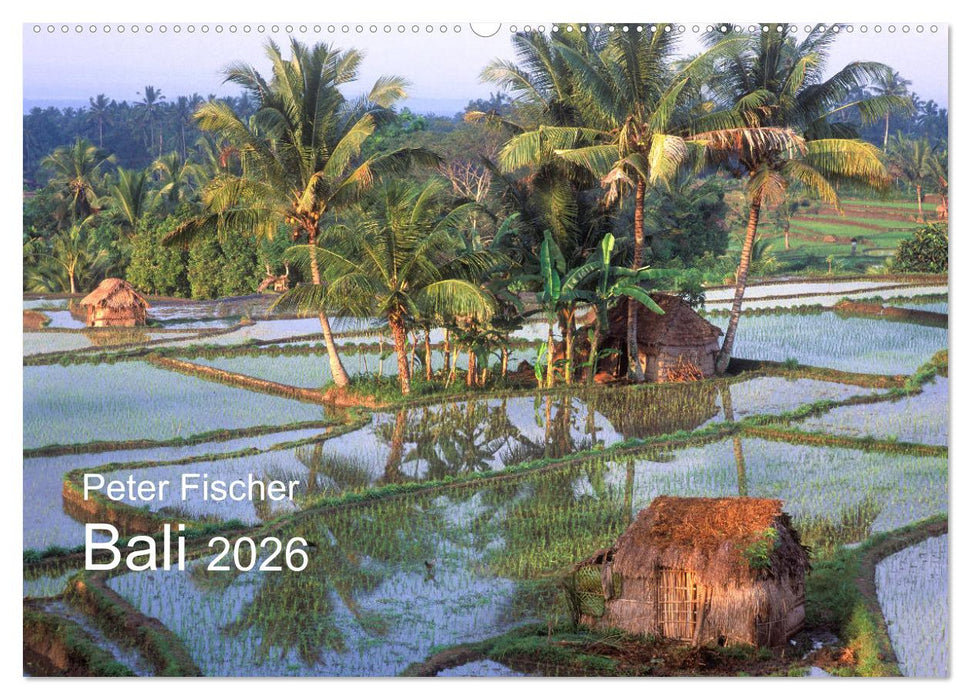 Peter Fischer - Bali 2026 (CALVENDO Wandkalender 2026)