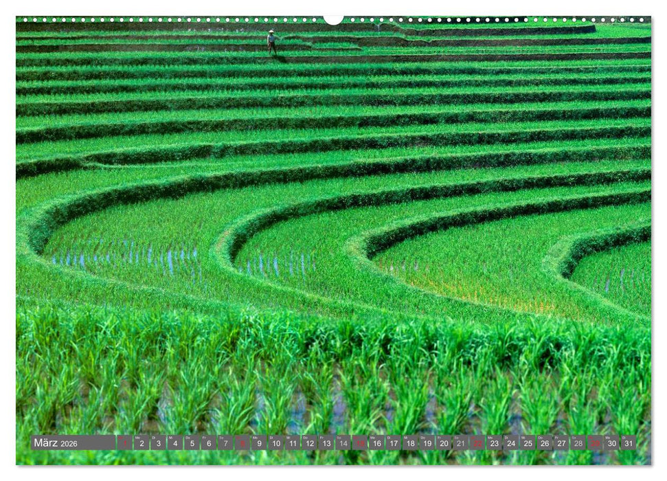 Peter Fischer - Bali 2026 (CALVENDO Wandkalender 2026)