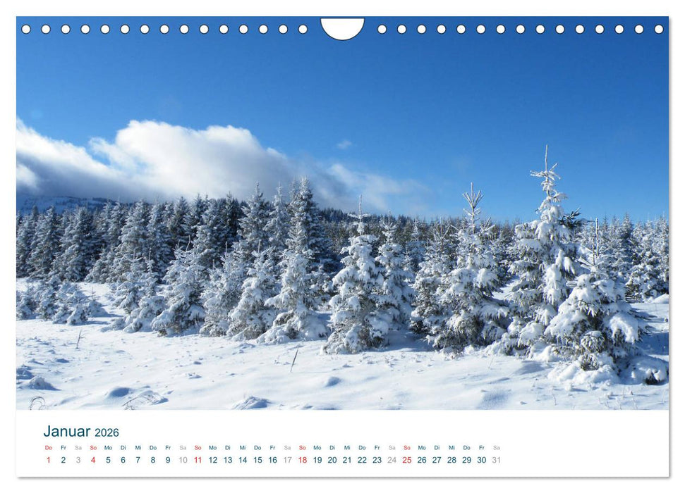 Quer durch Serbien (CALVENDO Wandkalender 2026)