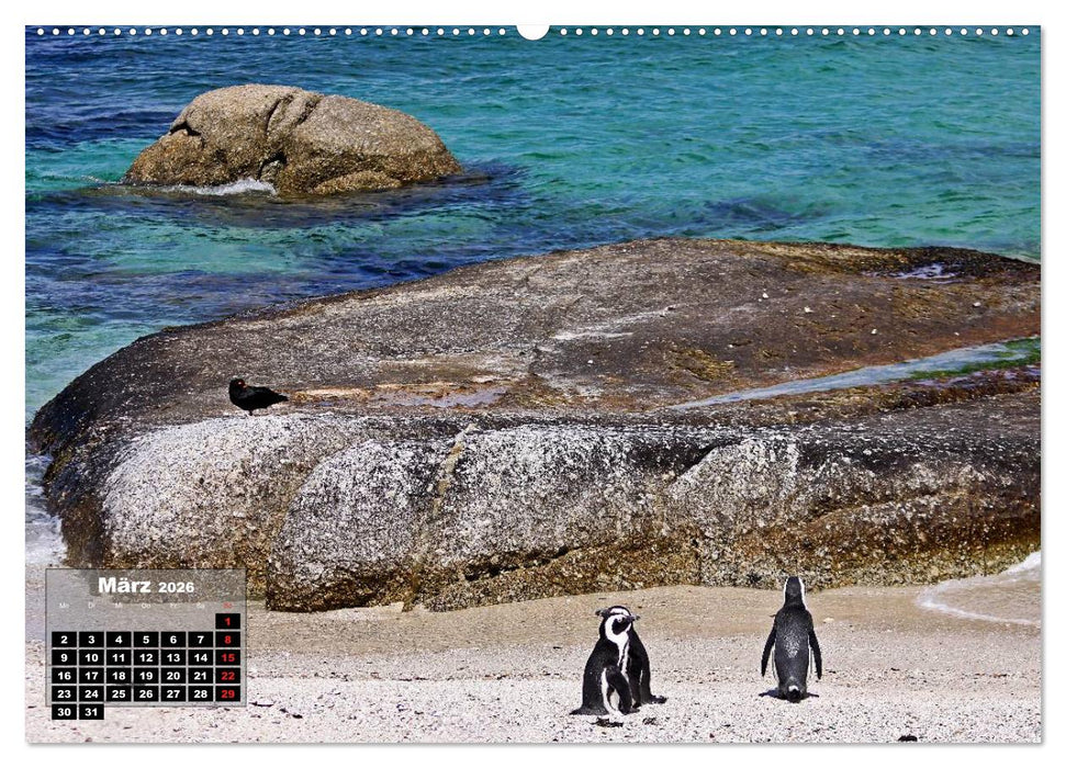 SÜDAFRIKA - Landschaften der Extreme (CALVENDO Premium Wandkalender 2026)