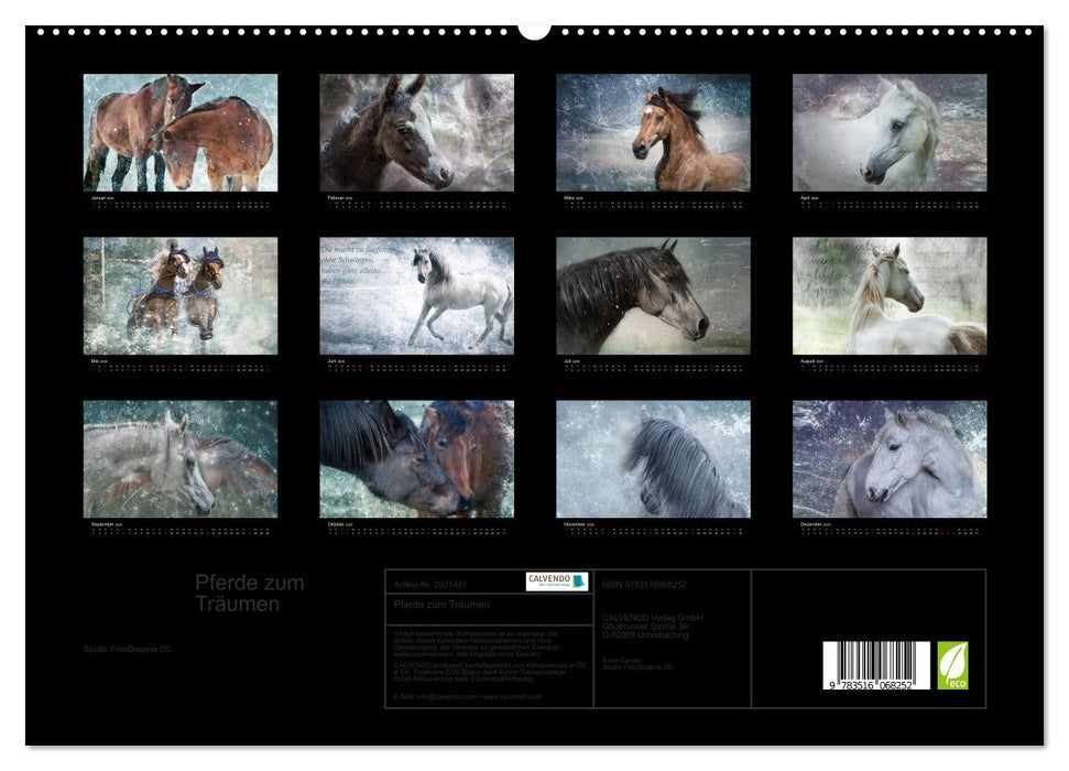 Pferde zum Träumen (CALVENDO Premium Wandkalender 2026)