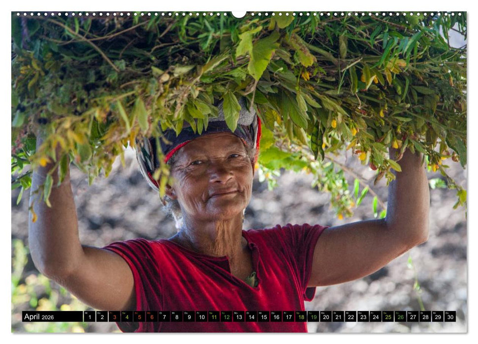 Fogo. Tochter des Vulkans (CALVENDO Wandkalender 2026)