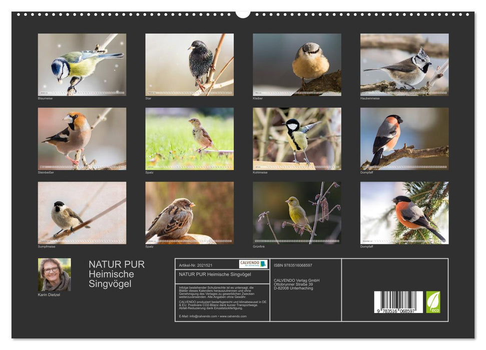 NATUR PUR Heimische Singvögel (CALVENDO Premium Wandkalender 2026)