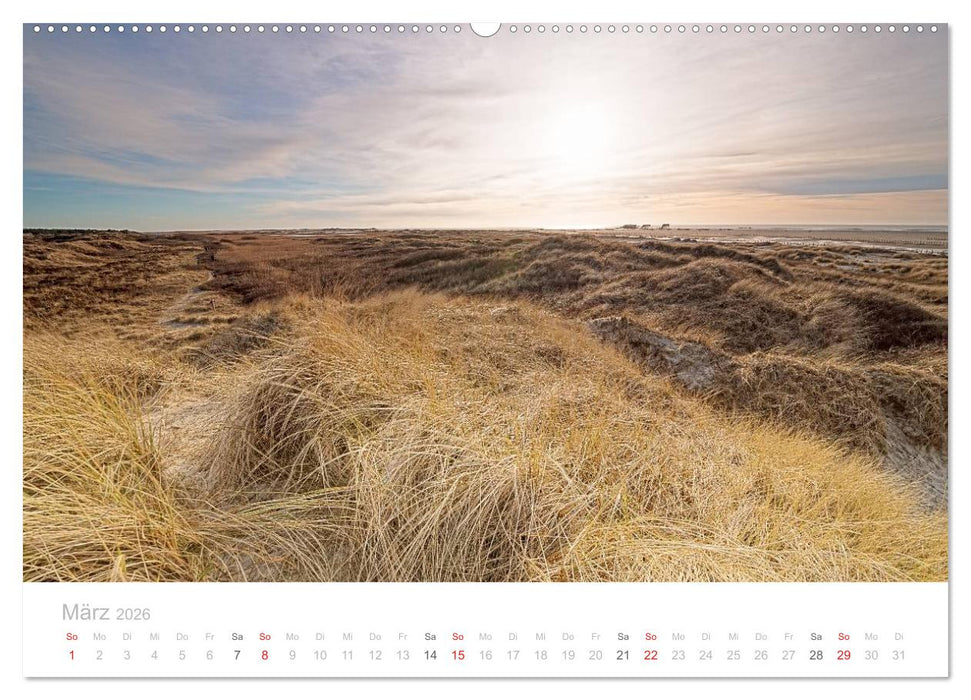 St. Peter-Ording (CALVENDO Premium Wandkalender 2026)