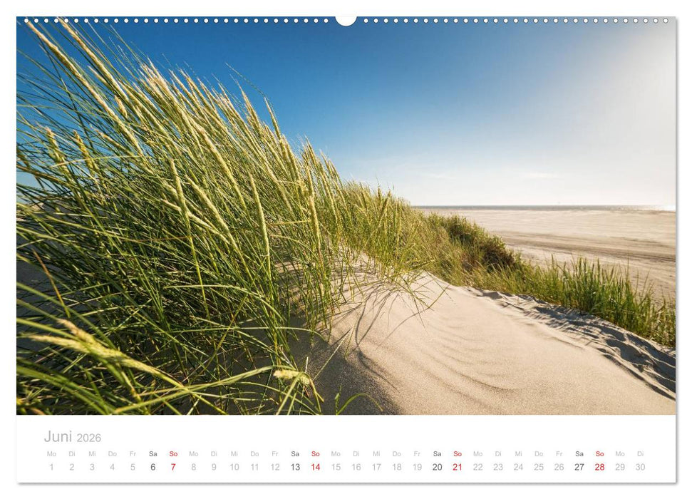 St. Peter-Ording (CALVENDO Premium Wandkalender 2026)