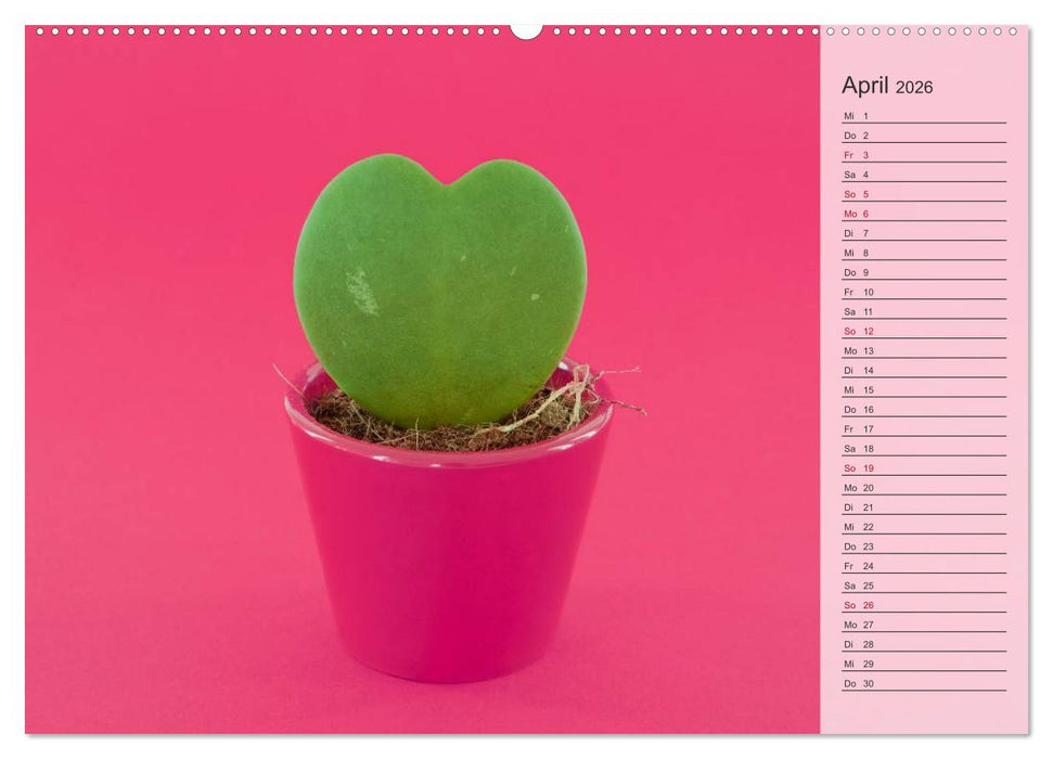 Tage von Herzen (CALVENDO Premium Wandkalender 2026)