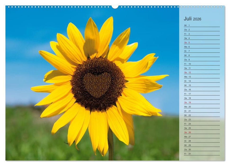 Tage von Herzen (CALVENDO Premium Wandkalender 2026)