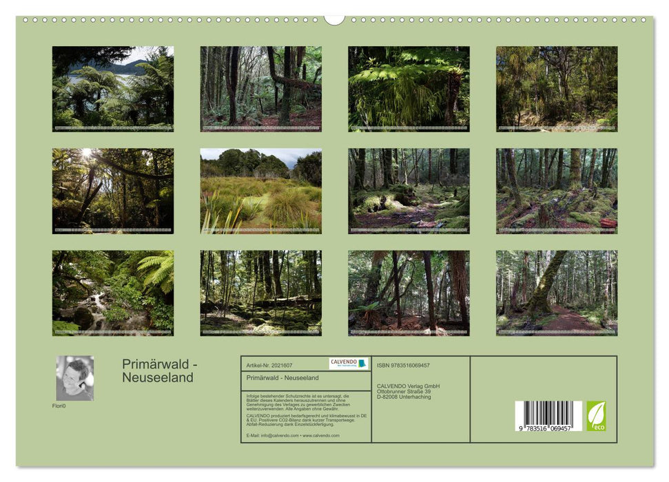 Primärwald - Neuseeland (CALVENDO Premium Wandkalender 2026)