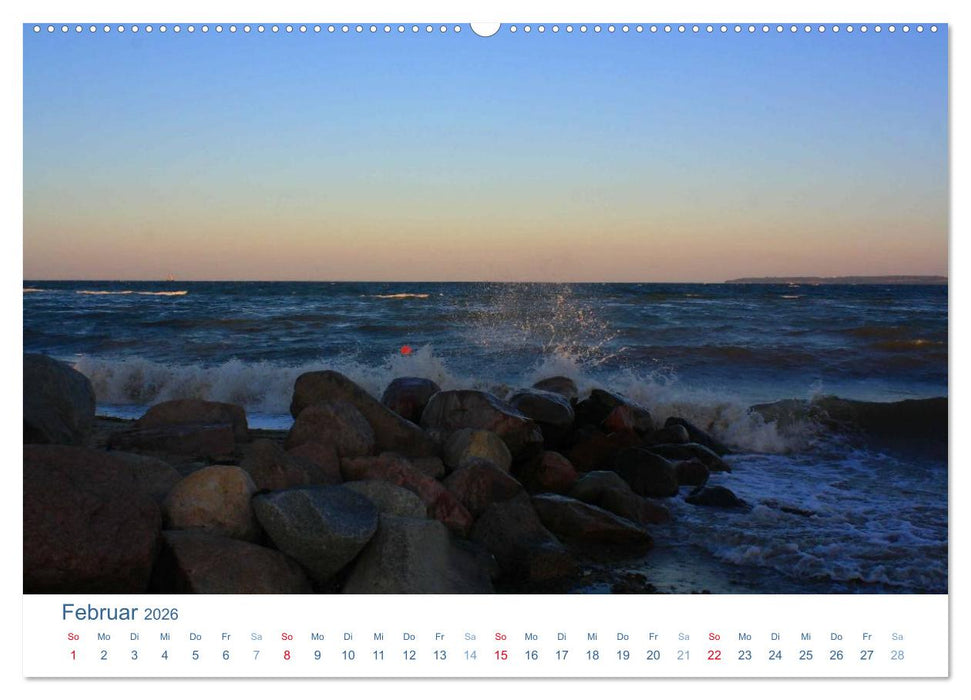 Schwansen 2026. Impressionen zwischen Schlei und Ostsee (CALVENDO Premium Wandkalender 2026)