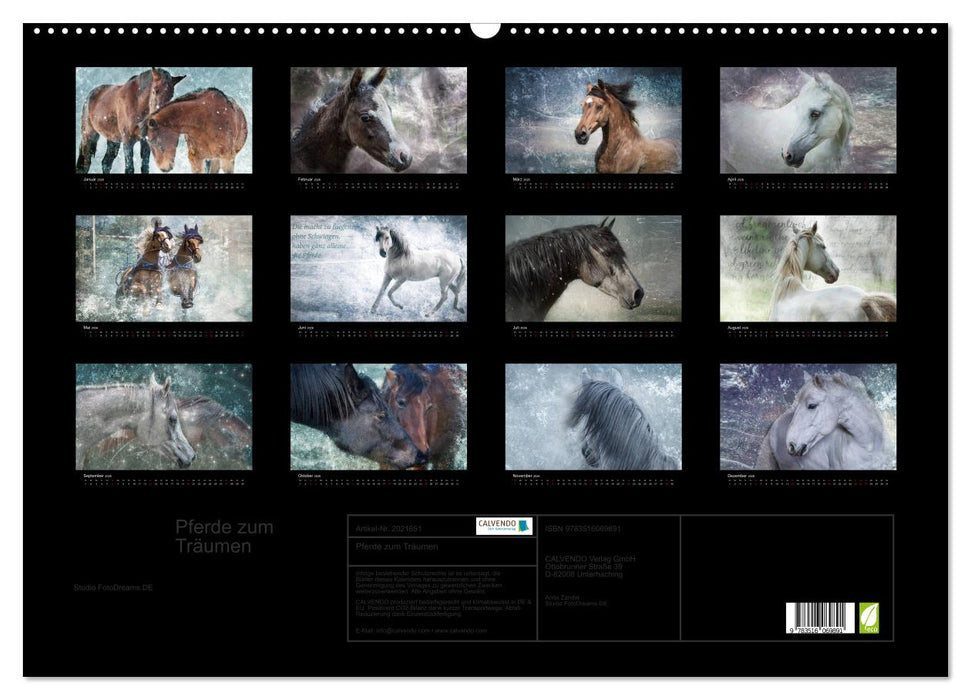 Pferde zum Träumen (CALVENDO Wandkalender 2026)
