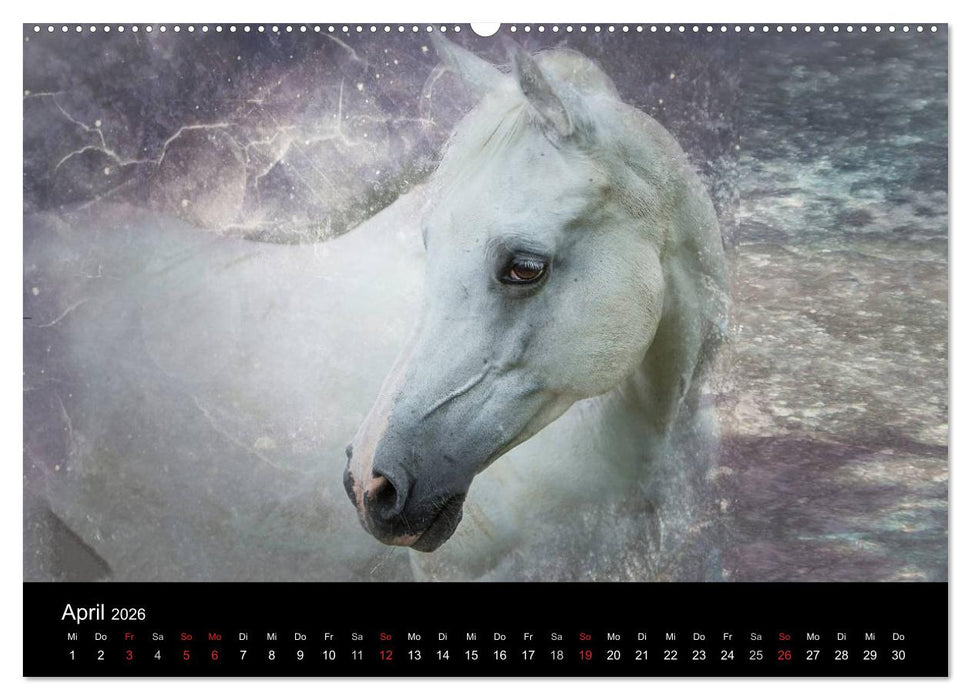 Pferde zum Träumen (CALVENDO Wandkalender 2026)