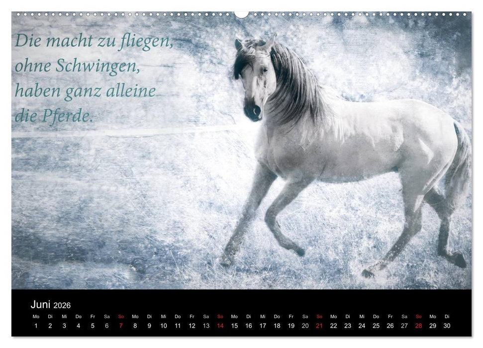 Pferde zum Träumen (CALVENDO Wandkalender 2026)