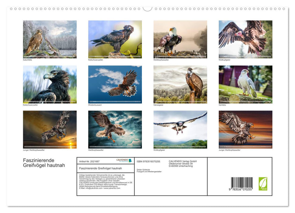 Faszinierende Greifvögel hautnah (CALVENDO Premium Wandkalender 2026)