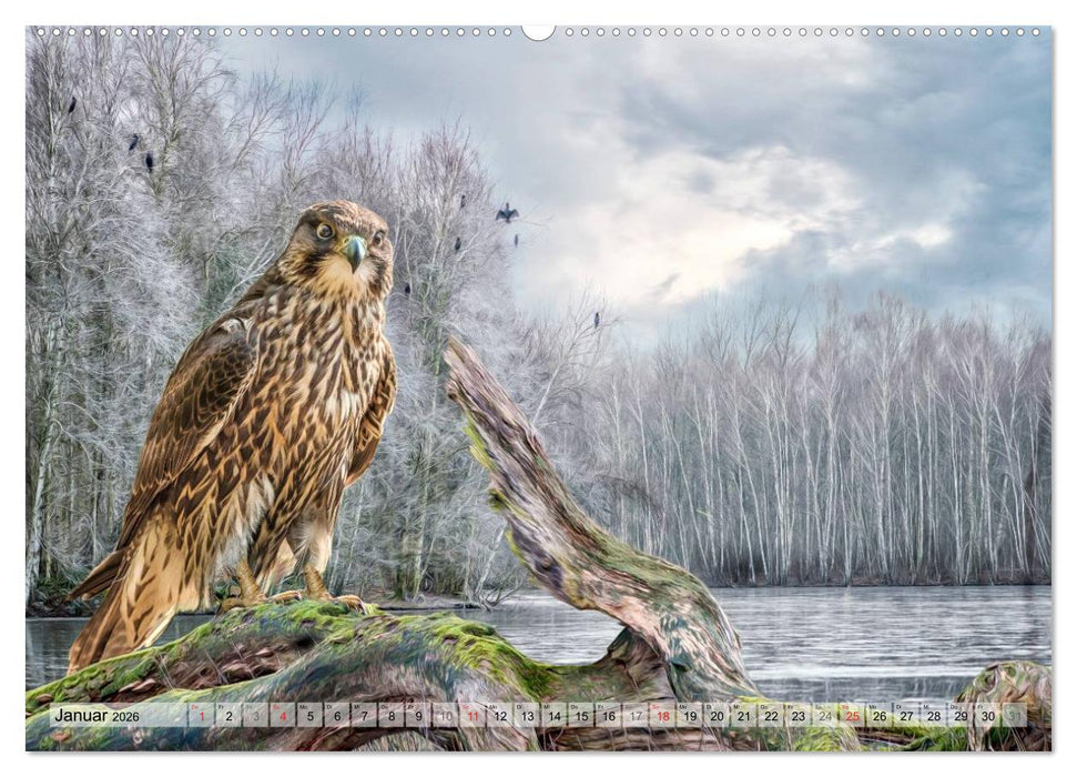 Faszinierende Greifvögel hautnah (CALVENDO Premium Wandkalender 2026)