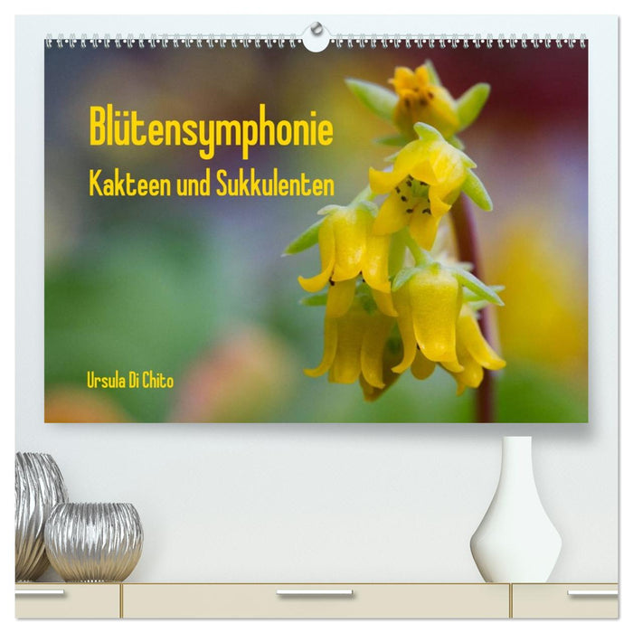 Blütensymphonie - Kakteen und Sukkulenten (CALVENDO Premium Wandkalender 2026)