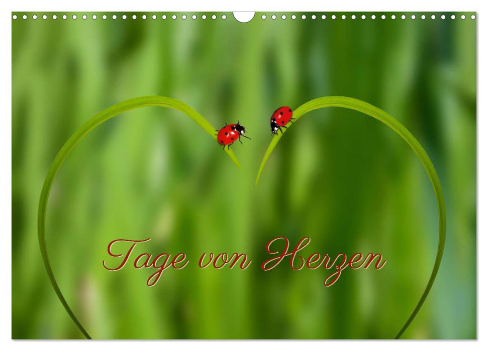 Tage von Herzen (CALVENDO Wandkalender 2026)