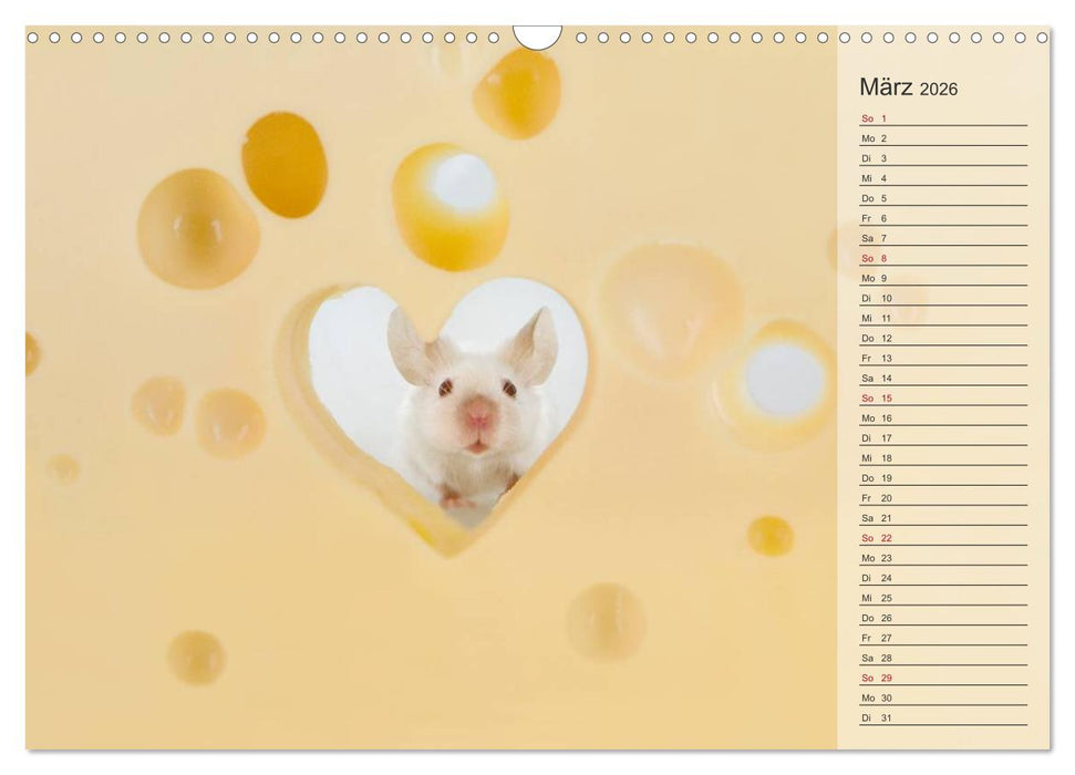 Tage von Herzen (CALVENDO Wandkalender 2026)