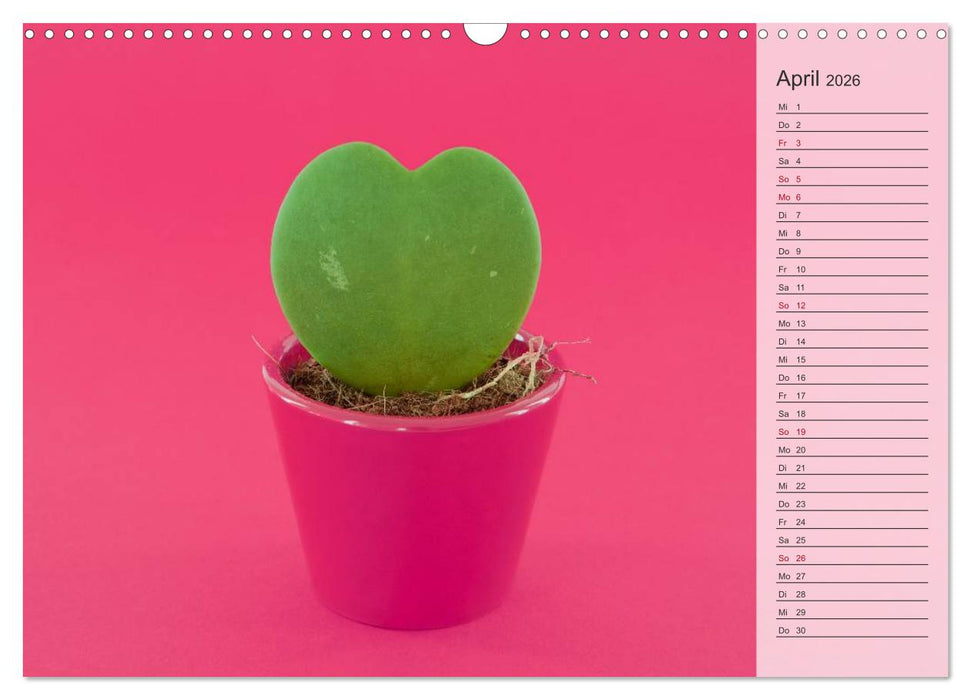 Tage von Herzen (CALVENDO Wandkalender 2026)