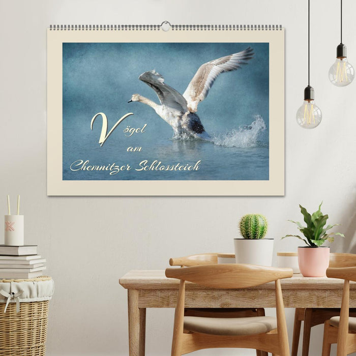 Vögel am Chemnitzer Schlossteich (CALVENDO Wandkalender 2026)