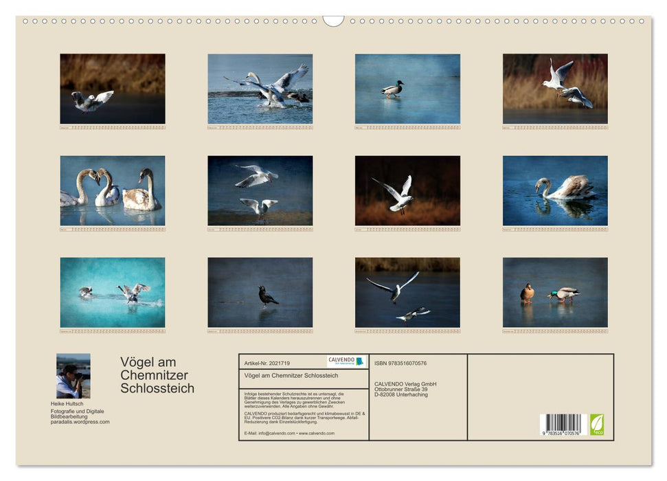 Vögel am Chemnitzer Schlossteich (CALVENDO Wandkalender 2026)