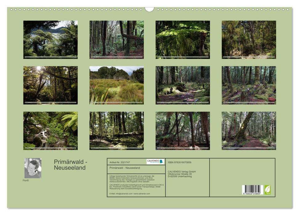 Primärwald - Neuseeland (CALVENDO Wandkalender 2026)