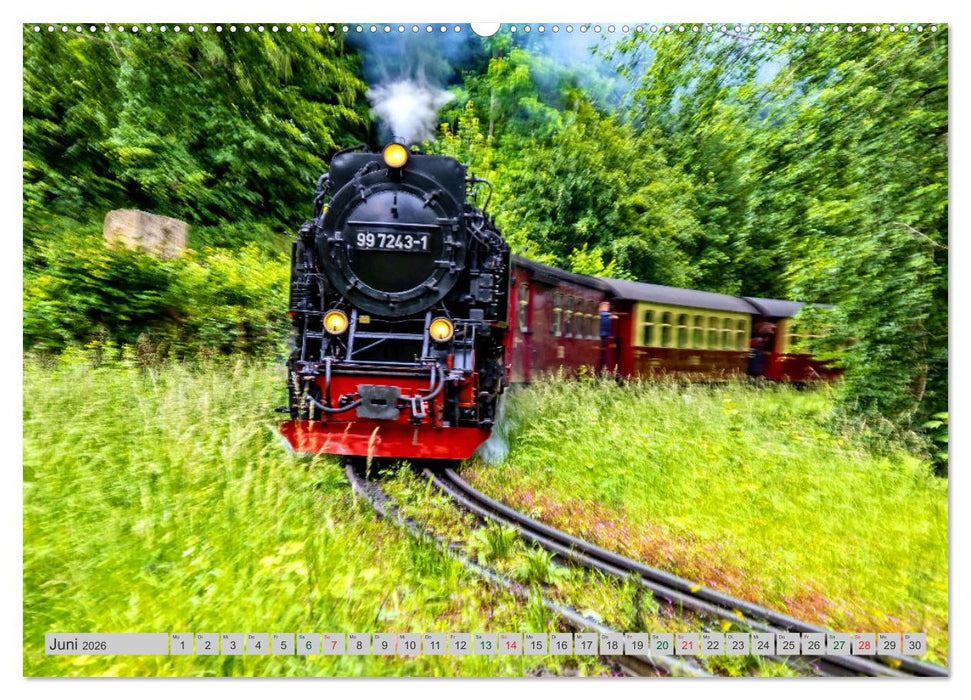 Harzer Dampfmomente (CALVENDO Premium Wandkalender 2026)