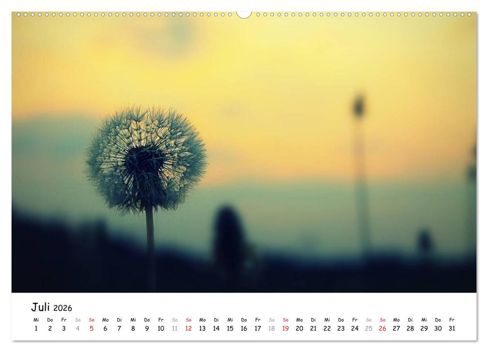 Unterwegs im Teufelsmoor (CALVENDO Premium Wandkalender 2026)