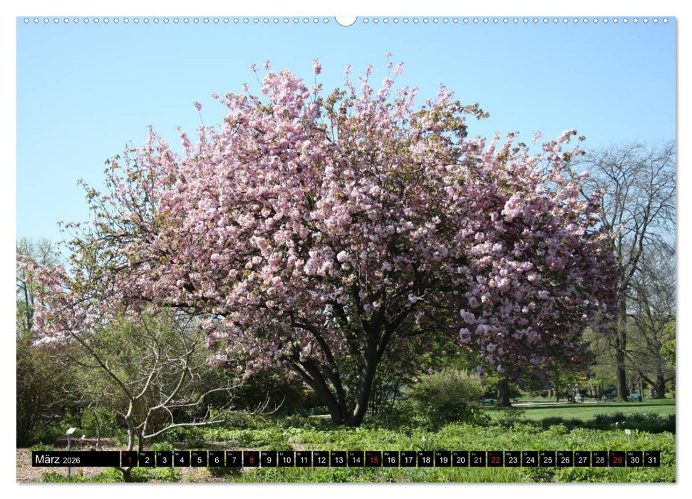 Hannovers prachtvolle Gärten (CALVENDO Premium Wandkalender 2026)