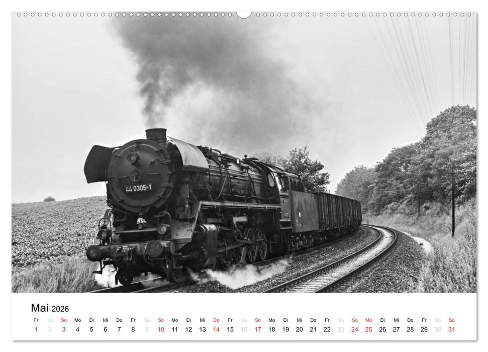 Dampfloks in der DDR (CALVENDO Premium Wandkalender 2026)