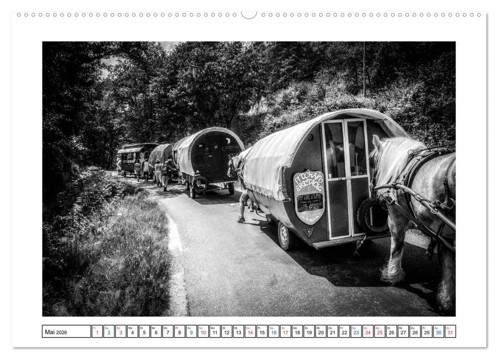 Unterwegs mit dem Zirkus (CALVENDO Premium Wandkalender 2026)