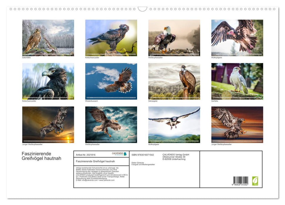 Faszinierende Greifvögel hautnah (CALVENDO Wandkalender 2026)