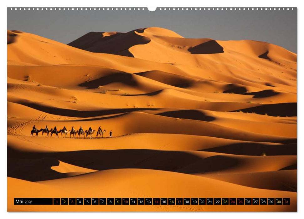 Dünen. Diamanten der Wüste (CALVENDO Wandkalender 2026)