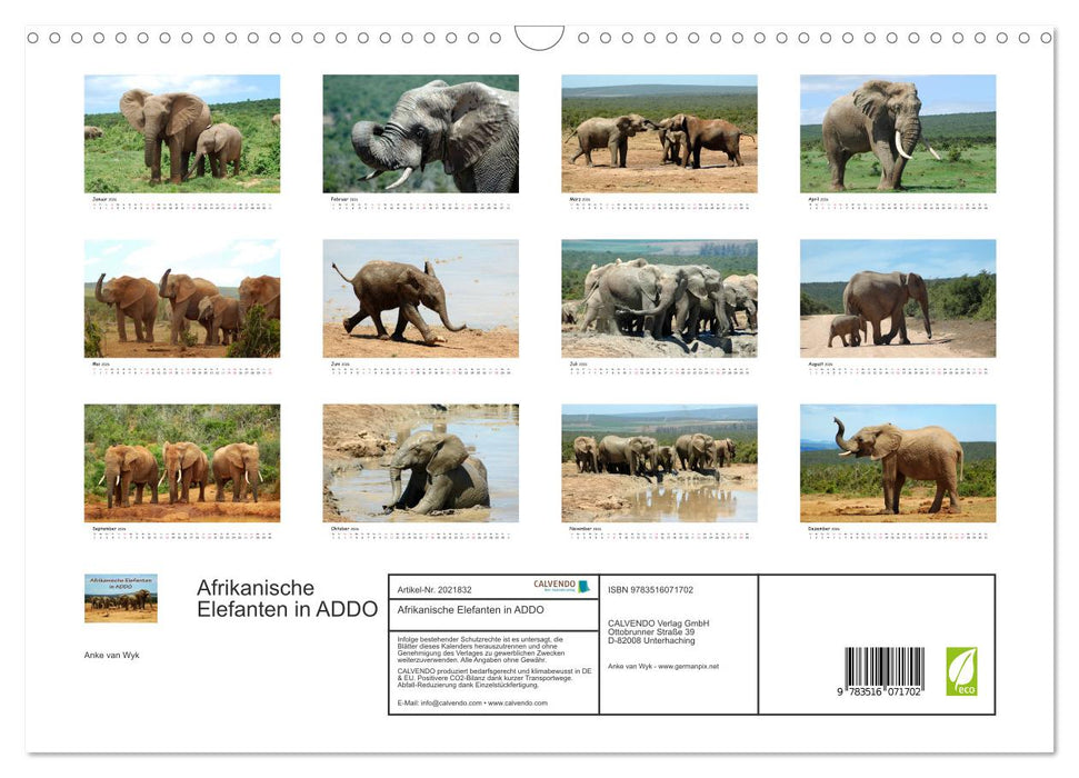 Afrikanische Elefanten in ADDO (CALVENDO Wandkalender 2026)