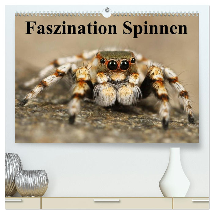 Faszination Spinnen (CALVENDO Premium Wandkalender 2026)
