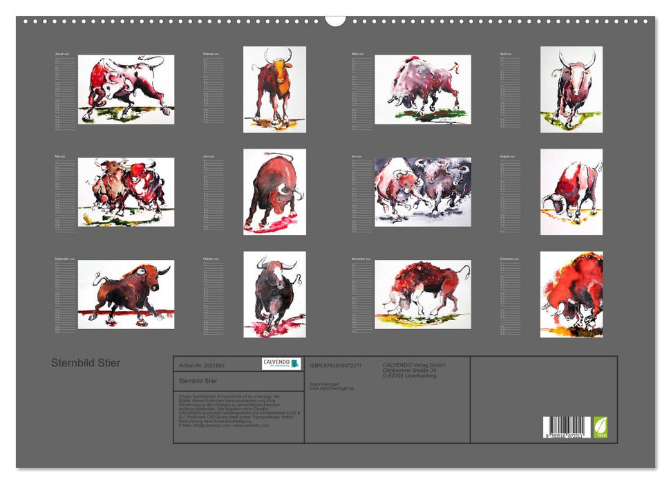 Sternbild Stier (CALVENDO Wandkalender 2026)