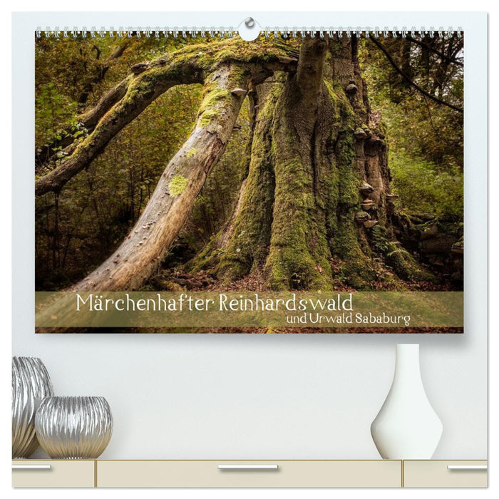 Märchenhafter Reinhardswald und Urwald Sababurg (CALVENDO Premium Wandkalender 2026)
