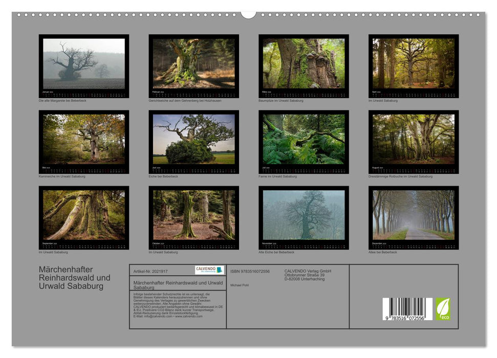 Märchenhafter Reinhardswald und Urwald Sababurg (CALVENDO Premium Wandkalender 2026)