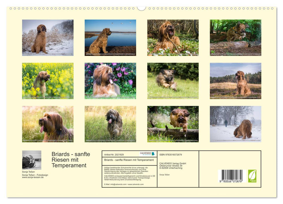 Briards - sanfte Riesen mit Temperament (CALVENDO Premium Wandkalender 2026)