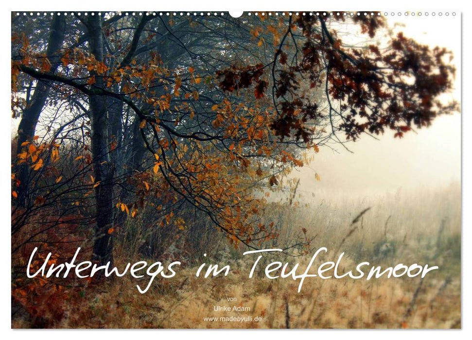 Unterwegs im Teufelsmoor (CALVENDO Wandkalender 2026)