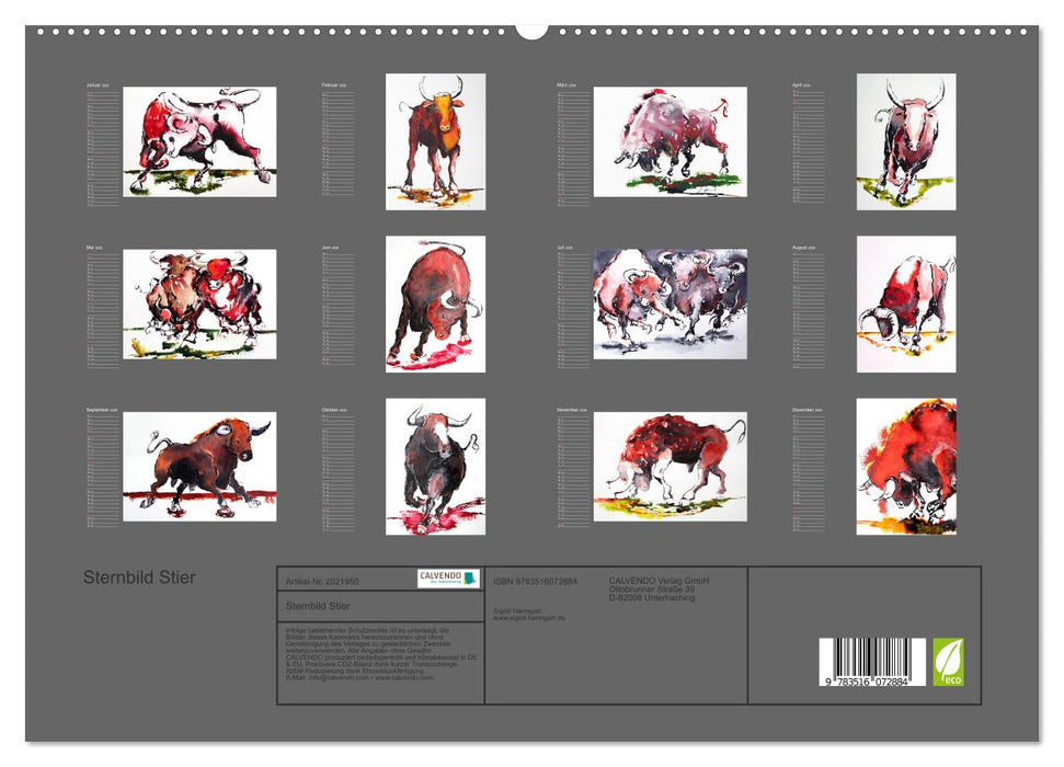 Sternbild Stier (CALVENDO Premium Wandkalender 2026)